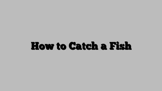 How to Catch a Fish