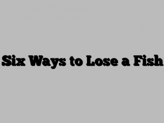 Six Ways to Lose a Fish