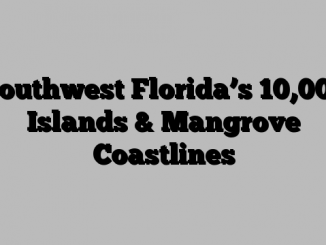 Southwest Florida’s 10,000 Islands & Mangrove Coastlines