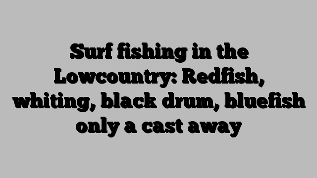 Surf fishing in the Lowcountry: Redfish, whiting, black drum, bluefish only a cast away