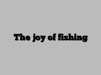 The joy of fishing