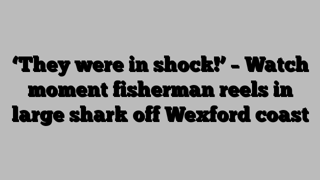 ‘They were in shock!’ – Watch moment fisherman reels in large shark off Wexford coast