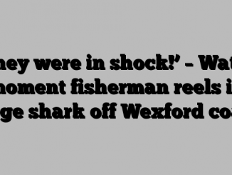 ‘They were in shock!’ – Watch moment fisherman reels in large shark off Wexford coast