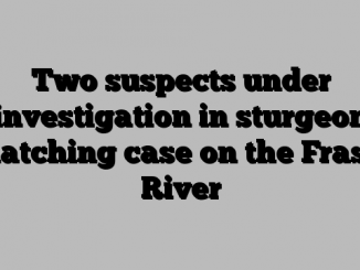 Two suspects under investigation in sturgeon snatching case on the Fraser River