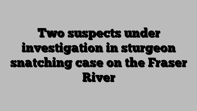 Two suspects under investigation in sturgeon snatching case on the Fraser River