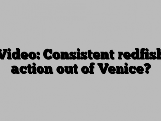 Video: Consistent redfish action out of Venice?