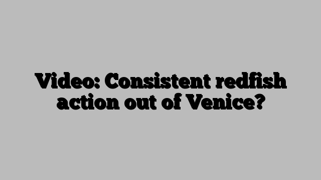 Video: Consistent redfish action out of Venice?