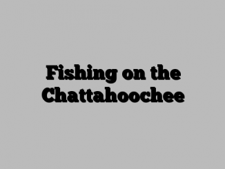 Fishing on the Chattahoochee