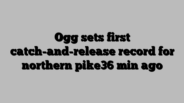 Ogg sets first catch-and-release record for northern pike36 min ago