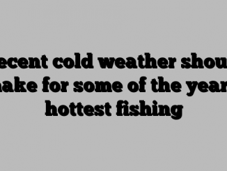 Recent cold weather should make for some of the year’s hottest fishing