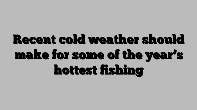 Recent cold weather should make for some of the year’s hottest fishing