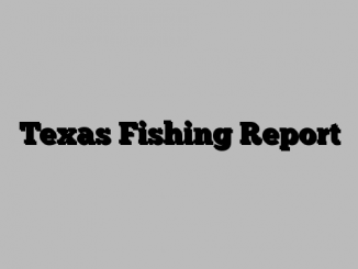 Texas Fishing Report