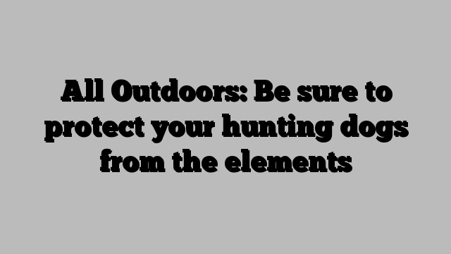 All Outdoors: Be sure to protect your hunting dogs from the elements