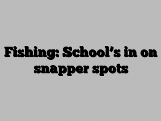 Fishing: School’s in on snapper spots