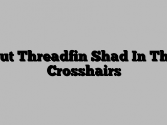 Put Threadfin Shad In The Crosshairs