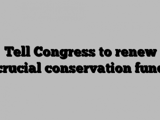 Tell Congress to renew crucial conservation fund