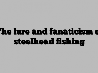 The lure and fanaticism of steelhead fishing