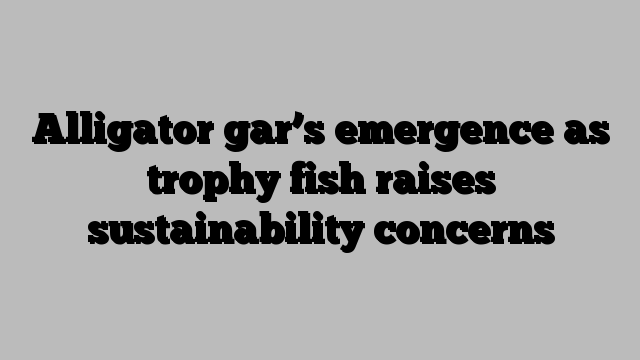 Alligator gar’s emergence as trophy fish raises sustainability concerns