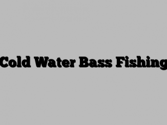 Cold Water Bass Fishing