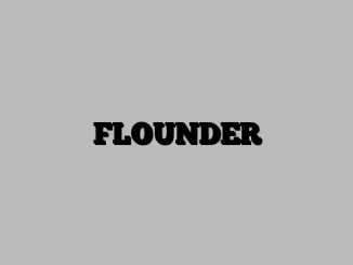 FLOUNDER