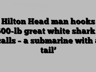 Hilton Head man hooks 3,500-lb great white shark he calls – a submarine with a tail’