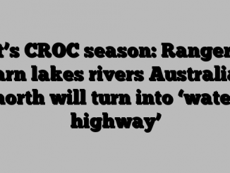 It’s CROC season: Rangers warn lakes rivers Australia’s north will turn into ‘water highway’