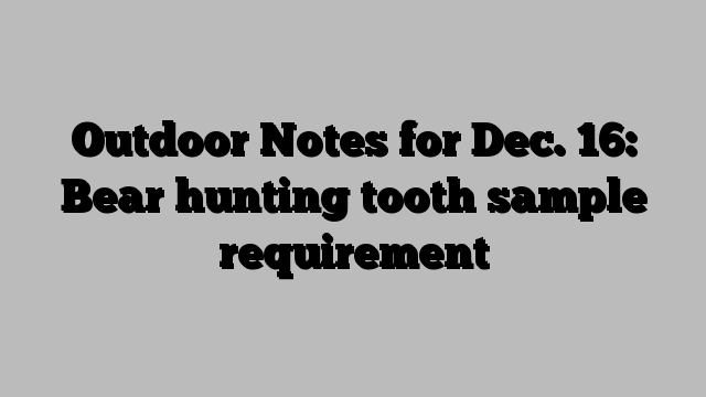 Outdoor Notes for Dec. 16: Bear hunting tooth sample requirement