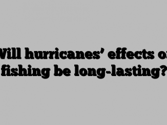 Will hurricanes’ effects on fishing be long-lasting?